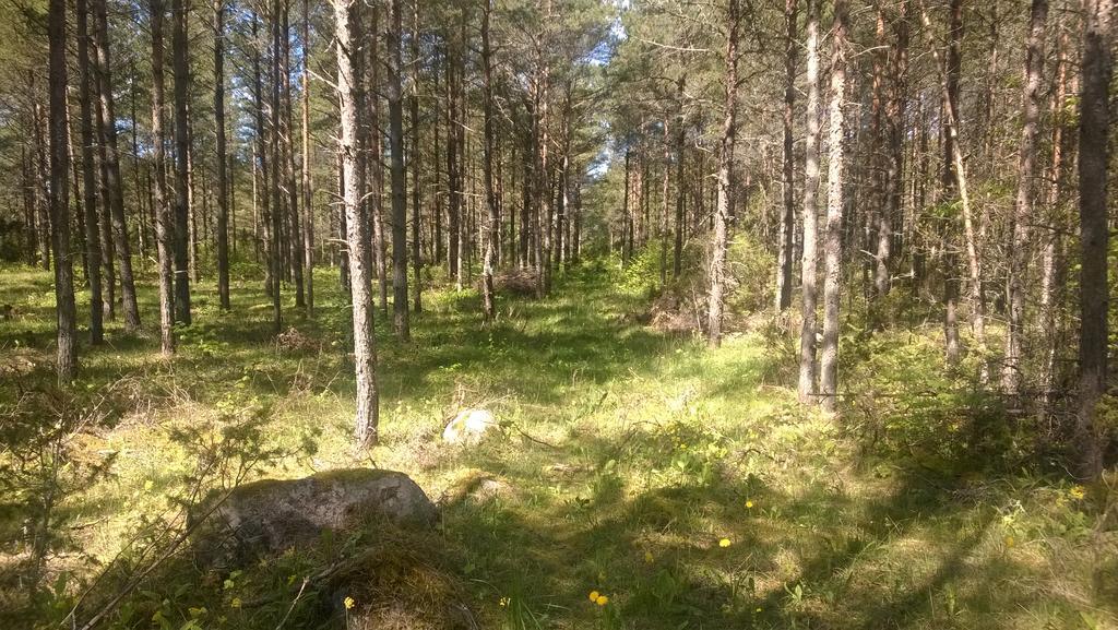 Nature Getaway Holiday Home Mujaste Екстер'єр фото
