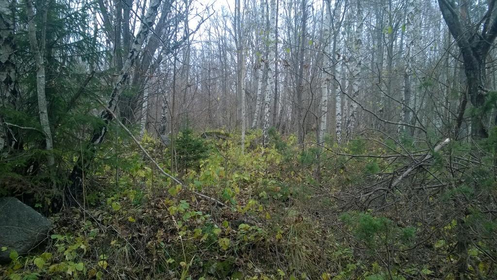 Nature Getaway Holiday Home Mujaste Екстер'єр фото